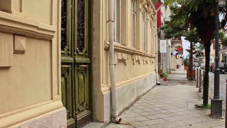 Vista-Lateral-De-La-Puerta-Verde-Ornamentada-Del-Edificio-En-Batumi,-Georgia