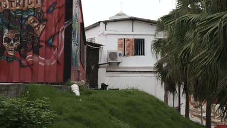 Graffiti-Auf-Einem-Der-Häuser-In-Malaysia-Mit-Einer-Katze,-Die-Neugierig-In-Die-Kamera-Schaut