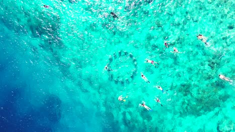 Group-of-people-with-snorkel-equipment-dive-into-clear-water-of-blue-turquoise-lagoon-to-watch-from-close-corals-and-rocks-of-seabed-in-Philippines