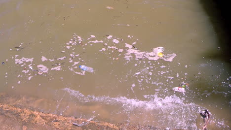 Looking-at-trash-in-the-lake-in-Krabi-