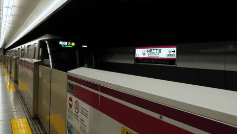 Statische-Aufnahme-Der-Bahnsteigtüren-Zur-Selbstmordprävention-In-Einer-U-Bahn-Station-In-Japan