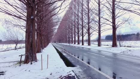 Empty-Tree-lined-winter-road,-Shiga,-Japan-4k