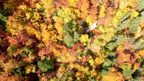 Luftaufnahme-Der-Unglaublichen-Herbstfarben-Im-Durmitor-nationalpark-In-Montenegro