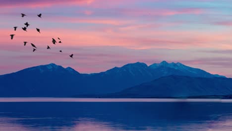 Cinemagraph-of-a-flock-of-blackbirds-flying-over-a-lake-at-sunset---birds-are-animated,-but-everything-else-is-static