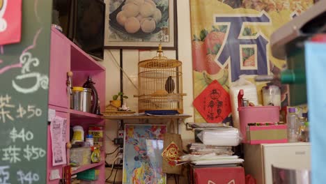 Caged-bird-on-display-in-Taiwan-market-grocery-store-amongst-colourful-stock-supply