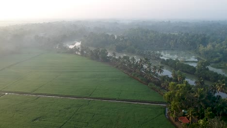Asian-paddy-field-village,sky,Sun-beam-reflection-,River,Aerial-Shot,irrigation,Mist,Mangroves,Water