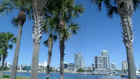 4K-Video-of-Skyline-and-Marina-past-Palm-Trees-in-St-Petersburg,-Florida