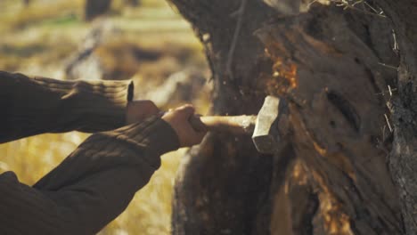 Refugee-hits-tree-with-hammer-collecting-firewood-CLOSE-UP