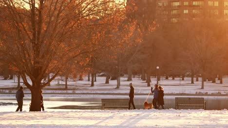 People-walking-dog-in-the-park-against-a-background-of-warm-light