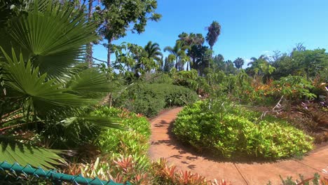 Passing-by-the-tidy-park-with-many-types-of-plants-and-palm-trees-and-walking-path