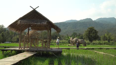 Turista-En-La-Hermosa-Tailandia-En-El-Parque-De-Esculturas-De-Paja-En-Chiang-Mai,-Tailandia