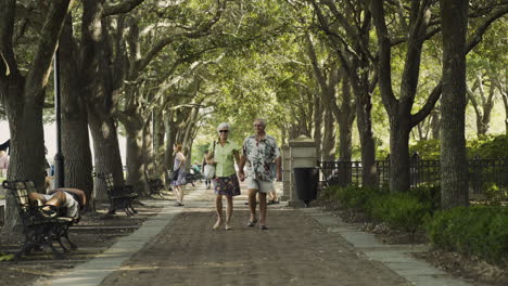 Old-Couple-Holding-Hands-Walking-In-Waterfront-Park,-Static