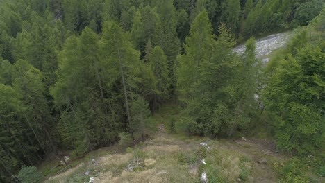 Die-Luftaufnahme-Zieht-Sich-Von-Einer-Jungen-Frau-Zurück,-Die-Im-Wald-Spaziert-Und-Im-Hintergrund-Italienische-Dolomiten-Freigibt