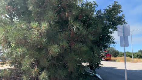 Los-Angeles-Brush-Fire-In-the-Valley