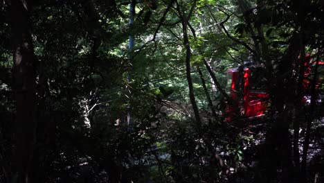 Red-Cable-Car-Passing-On-The-Railway-Through-The-Forest-In-Mount-Tsukuba-In-Ibaraki,-Japan---wide-shot