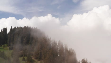 Aerial-of-trees-on-mountaintop-above-the-clouds