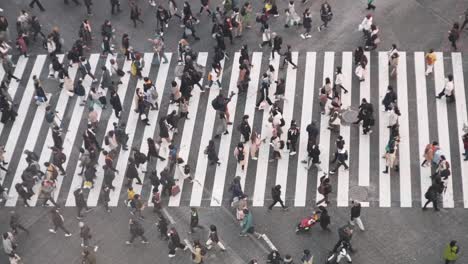 Fußgänger-überqueren-Den-Shibuya-Kreuzung-In-Tokio,-Japan