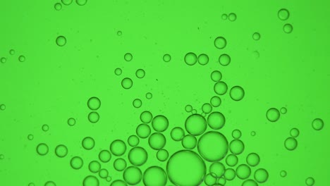 Klare-Blasen-Auf-Einem-Grünen-Bildschirm,-Schwebendes-4K-Makro