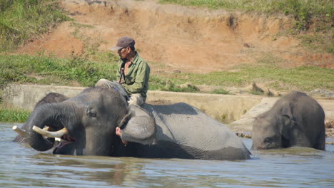 Mahout-Rides-Sumatran-Elephant-During-Bath-Time,-Family-in-Background,-Slow-Motion
