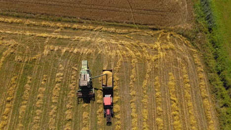 Aerial-View-Of-Tractor-Harvesting-On-The-Farmland-In-Puck,-Poland---top-down-shot