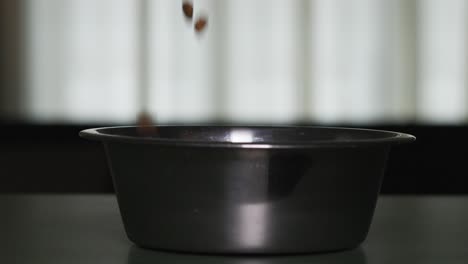 Pouring-dog-food-in-slow-motion-into-silver-pet-bowl