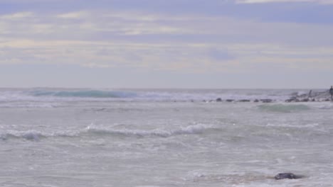 Surfer-Walking-At-The-Beach-In-Crescent-Head---Surfing-Spot-In-New-South-Wales,-Australia---close-up