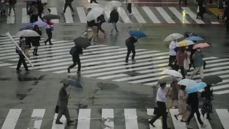 Escena-De-Día-Lluvioso-En-El-Cruce-De-Shibuya---Gente-Con-Paraguas-Cruzando-En-Cámara-Lenta---Cerrar