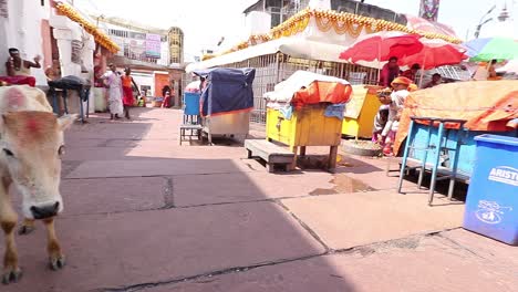 Los-Pequeños-Vendedores-Permanecen-Cerrados-Debido-A-La-Menor-Cantidad-De-Peregrinos-Durante-La-Crisis-Del-Covid-19-En-El-Templo-Baidyanath-Dham-En-Deoghar,-Jharkhand