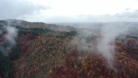 Herbstliche-Bäume-Im-Bergwald-Mit-Wolken-Darüber-In-Rumänien