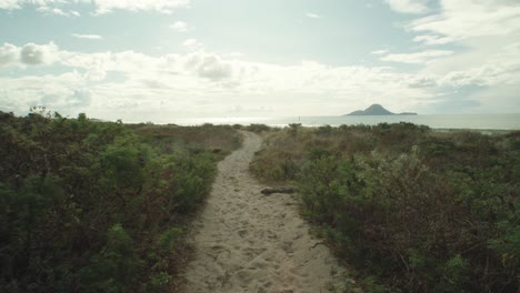 POV-shot-walking-on-a-sand-path-on-the-coast-of-Whakatane-with-Moutohora-island-on-the-horizon