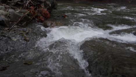 Blick-Auf-Einen-Wildwasserabschnitt-Eines-Kleinen-Flusses-Im-Herbst