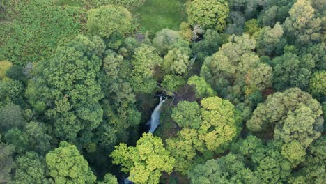 Luftdrohnenaufnahme-Mit-Blick-Auf-Die-Wasserfälle-Der-Aira-Force-Falls-In-Der-Nähe-Von-Ullswater-Im-Lake-District