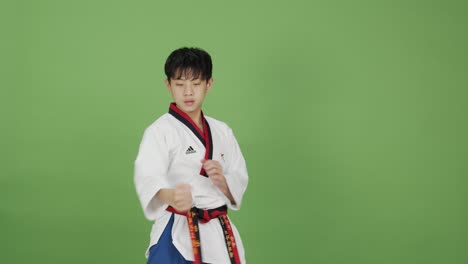 Asiatischer-Junge-Und-Taekwondo-Experte-Demonstriert-Kampfsport-Selbstverteidigung-Mit-Grünem-Hintergrund