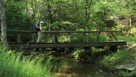 Un-Hombre-Cruza-Un-Puente-Peatonal-En-Judy-Springs,-Dentro-Del-área-Recreativa-Nacional-Spruce-Knob-seneca-Rocks-En-Virginia-Occidental