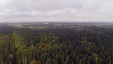 Sonnenlicht-Und-Schatten-In-Den-Baumwipfeln-Eines-Herbstlich-Gefärbten-Waldes-Mit-Der-Bayerischen-Metropole-München-Im-Hintergrund-Am-Wolkigen-Horizont