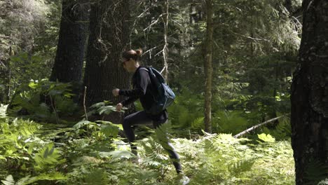 Young-Woman-Hiking-in-Green-Alaskan-Forest-on-Sunny-Summer-Day,-Slow-Motion
