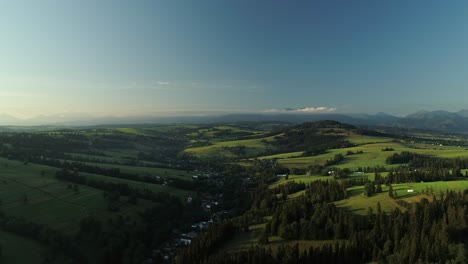 Drohnenflug-über-Eine-Friedliche-Ländliche-Landschaft-Mit-Zotteligen-Fichten-Am-Ruhigen-Dorf