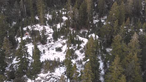 Toma-Aérea-De-Un-Dron-Que-Se-Aleja-Mostrando-Un-Bosque-De-Pinos-Y-Una-Montaña-Cubierta-De-Nieve