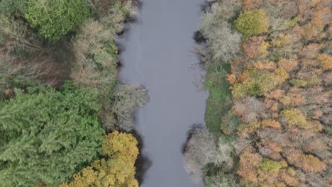 Colorful-Forest-Trees-Along-River-Liffey-In-County-Wicklow---Late-Autumn-In-Ireland---aerial-drone