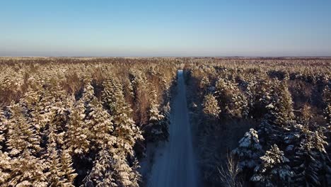 Beautiful-scenic-aerial-view-of-a-winter-forest-in-sunny-winter-day,-trees-covered-with-fresh-snow,-ice-and-snow-covered-road,-wide-angle-drone-shot-moving-backwards,-camera-tilt-down