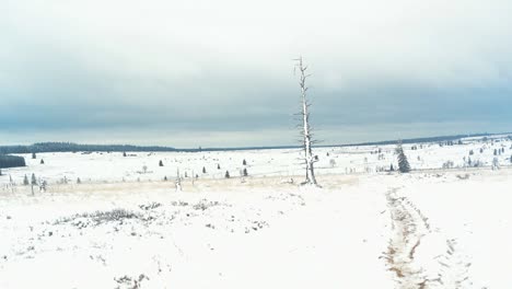 Hikers-enjoy-beautiful-snowy-landscape-of-plains-in-timelapse-shot