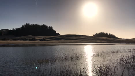 Oregon-Dunes-National-Recreation-area-near-Reedsport-and-Winchester-Bay,-and-off-Highway-101,-is-a-popular-tourist-destination-for-off-roading-recreational-vehicles
