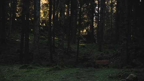 Wunderschöne-Landschaft-Mit-Einer-Holzbank-Inmitten-Eines-Stimmungsvollen-Herbstwaldes