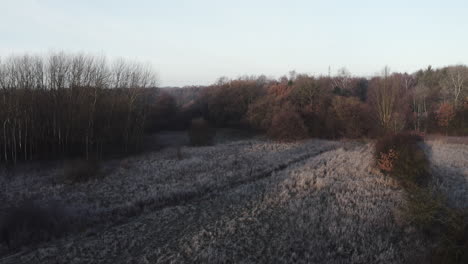Winterlandschaft-Am-Frühen-Morgen-Mit-Einem-Weg-Und-Bäumen-Und-Frostbedeckten-Büschen