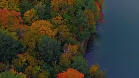Daring-fly-over-of-beautifully-colorful-trees-at-Pink-Lake,-Gatineau-Park-during-Fall