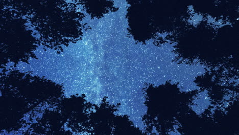 Majestätischer-Nachthimmel-Im-Wald