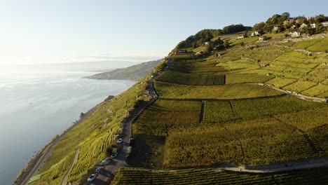Aerial-reveal-of-steepest-part-of-Lavaux-vineyard,-autumn-colors-and-sunset-light-Rivaz,-Vaud---Switzerland