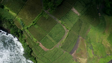 Luftaufnahmen-Von-Drohnen,-Küstenlinie-Aus-Vogelperspektive-Mit-Schwarzen-Felsen-Auf-Bali
