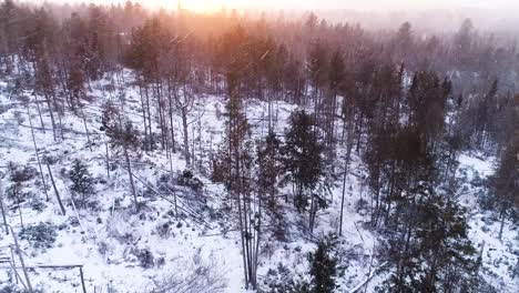 Aerial-view-of-a-forest-while-snowing-with-strong-winds