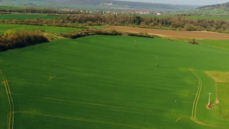 Aerial-shot-of-the-wide-green-farmland